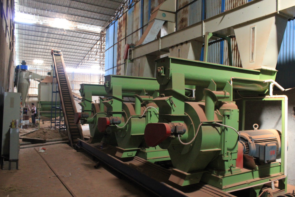5 Ton Per Hour Pellet Plant in Zhongshan, China