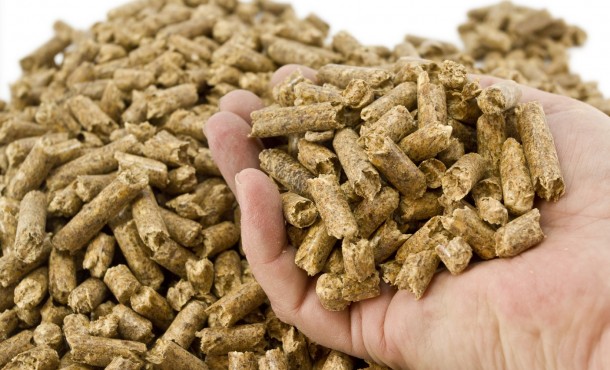 biomass-wood-pellets